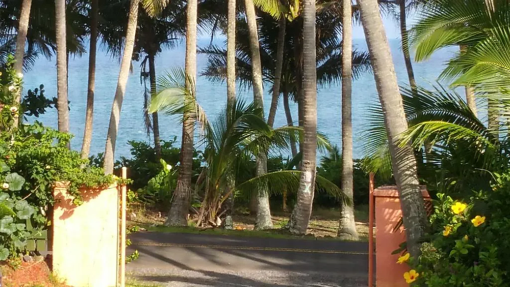 Whale House At Kehena Beach Pahoa Holiday home