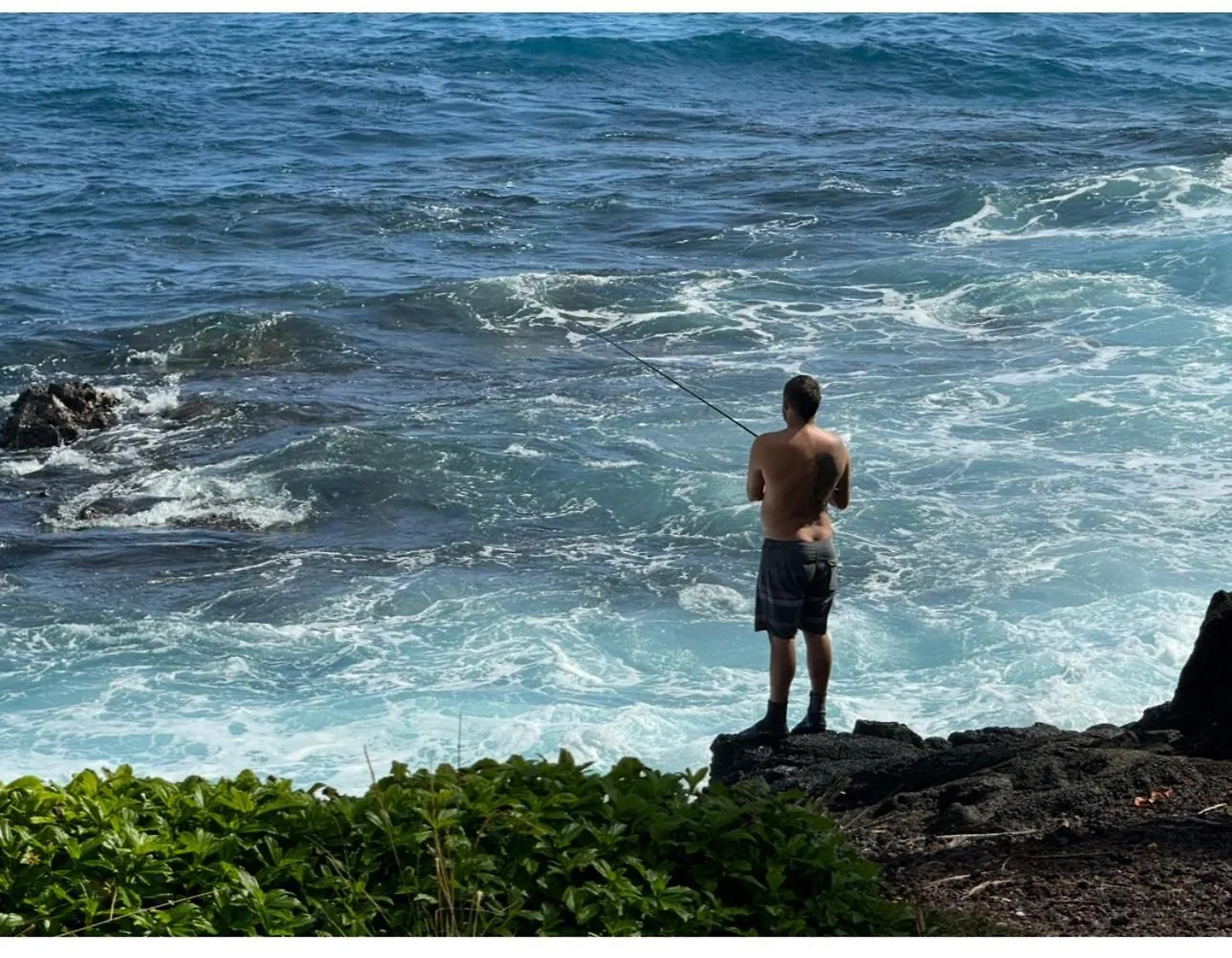 Whale House At Kehena Beach Pahoa United States
