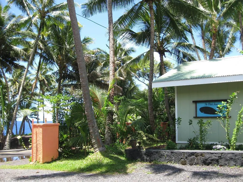 Whale House At Kehena Beach Pahoa 0*,