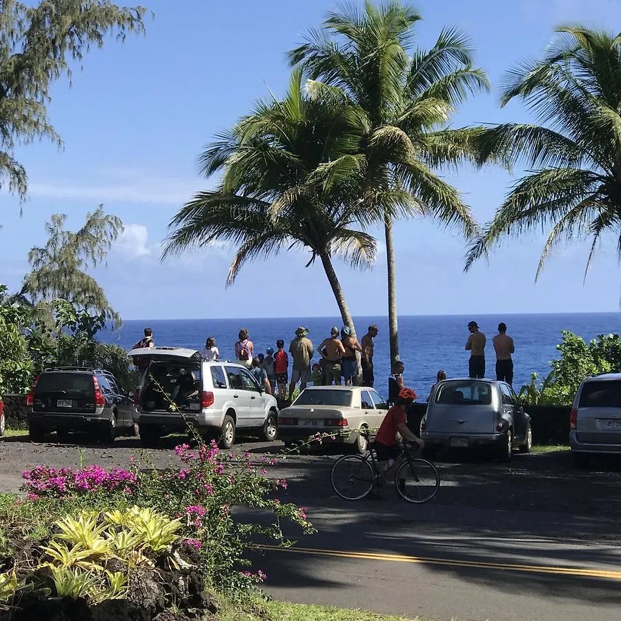 Whale House At Kehena Beach Pahoa 0*,  United States