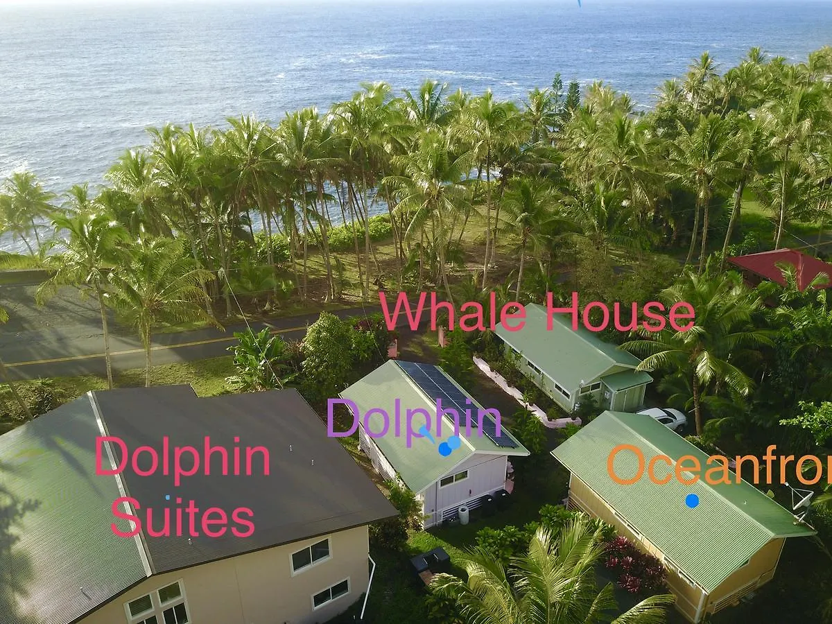 Whale House At Kehena Beach Pahoa