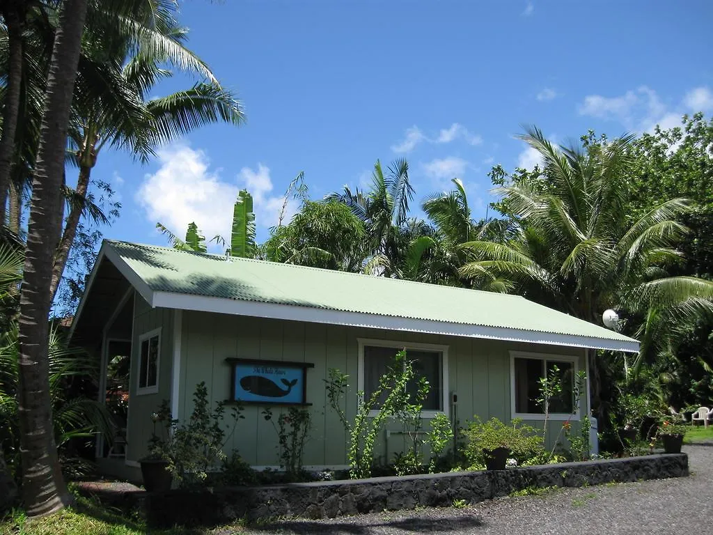 Whale House At Kehena Beach Pahoa