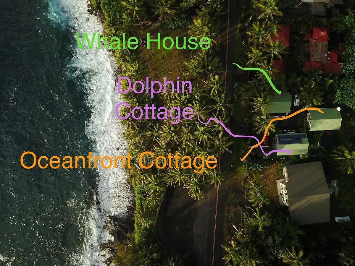 Hébergement de vacances Whale House At Kehena Beach Pahoa États-Unis